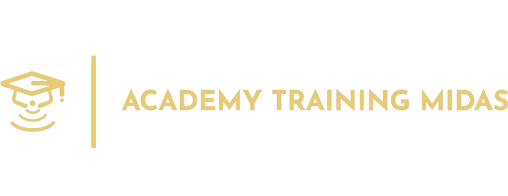 Training midas academy